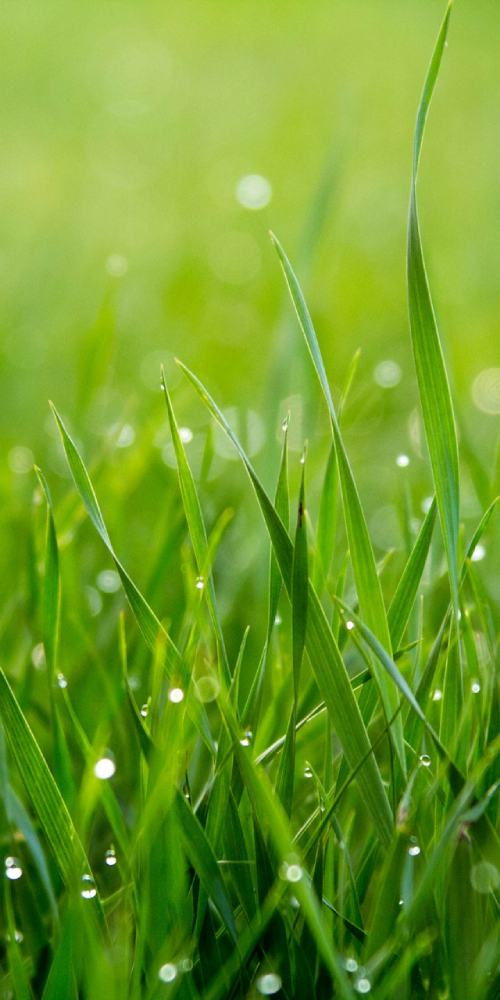 Nurture your wellbeing
